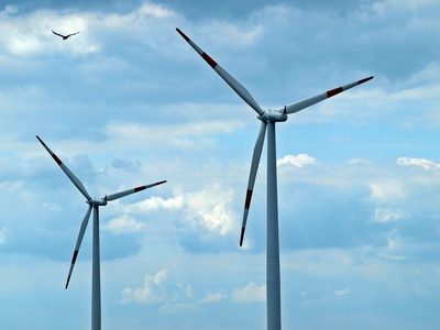 Windkraft_und_Vogel_(c) Luise/pixelio.de
